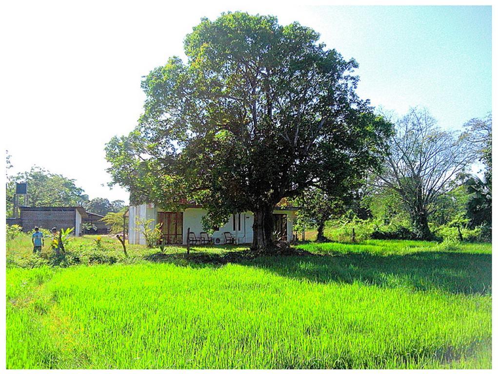 Mihini Hotel Habarana Bagian luar foto