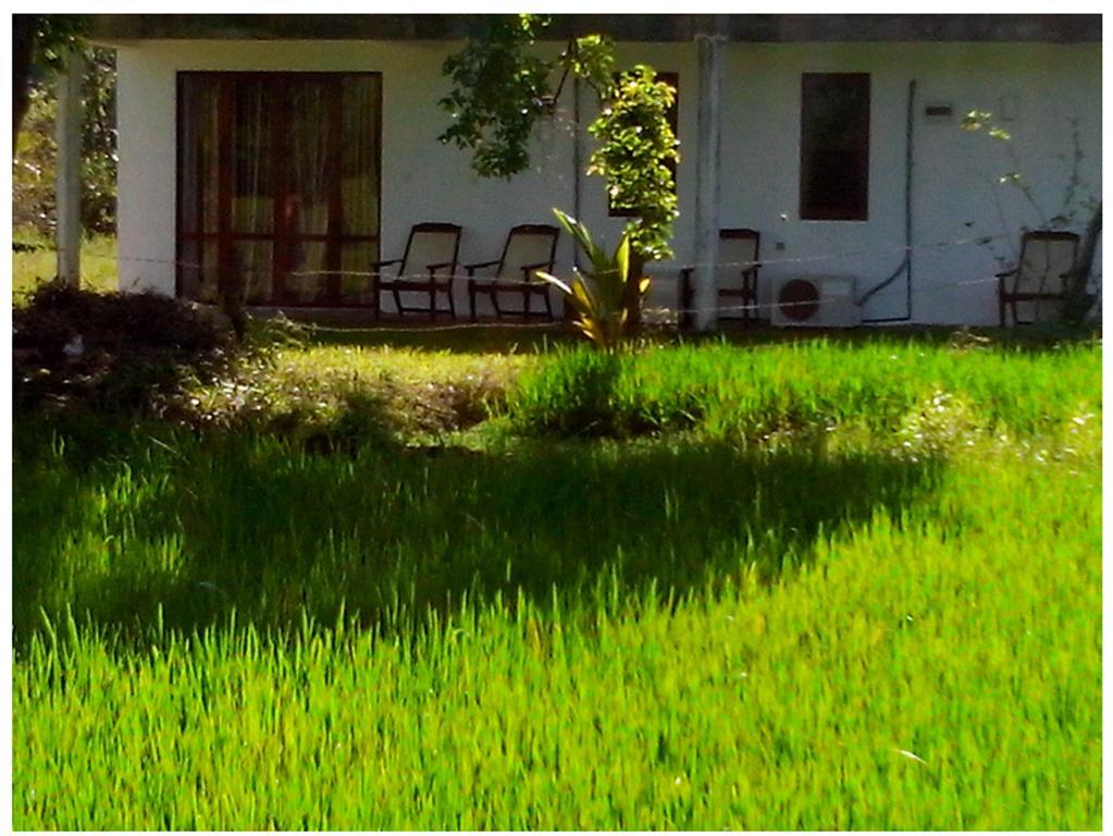 Mihini Hotel Habarana Bagian luar foto