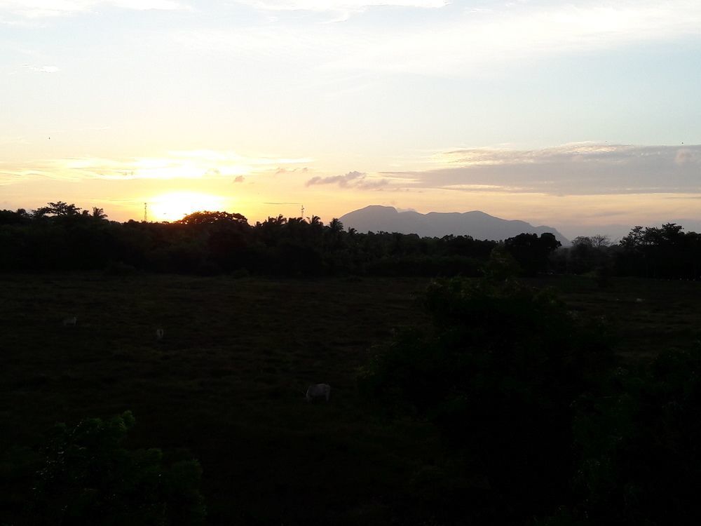 Mihini Hotel Habarana Bagian luar foto